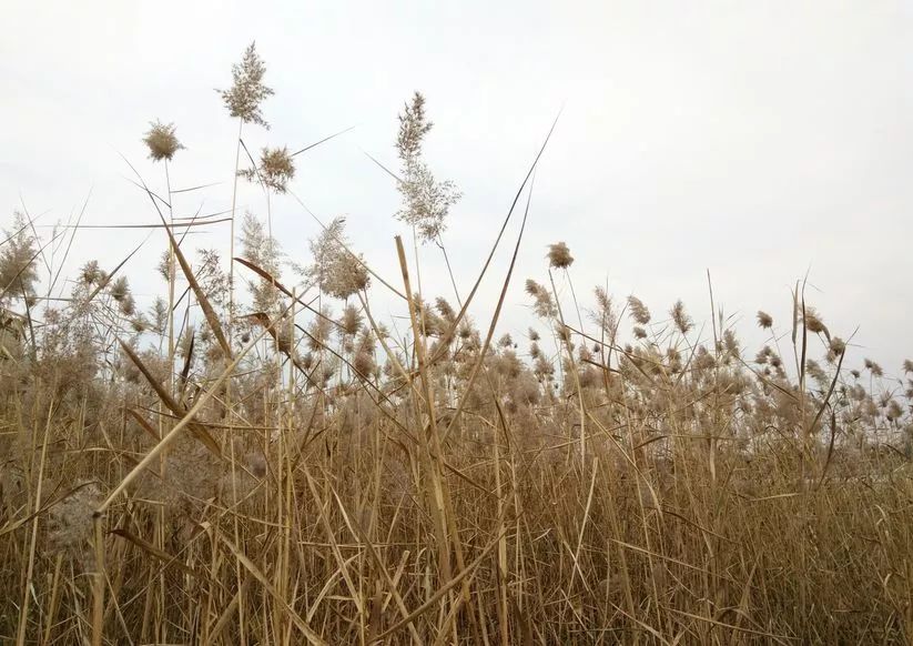 北京景点60周岁哪些免费,北京夏天旅游攻略免费景点
