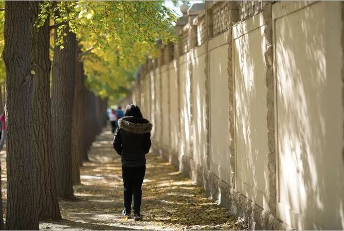 北京好玩免费的景点排名榜,北京周边免费景点自驾游