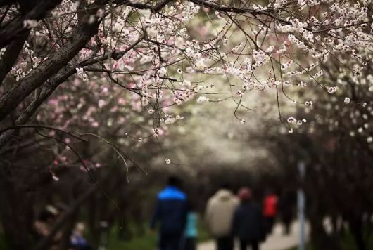 假期没玩够文旅,春节假期没有好好享受