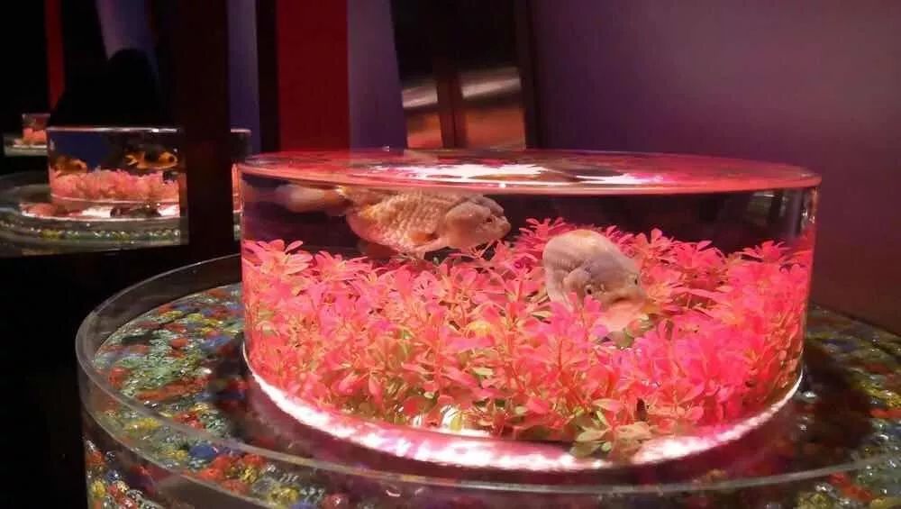 假期没玩够文旅,春节假期没有好好享受