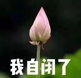 与男友共度这一夜后,24岁女孩差点……(附避孕科普)