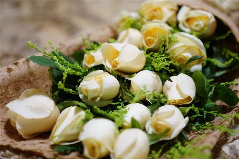 情人节浪漫仪式感玫瑰花,浪漫情人节甜蜜献礼