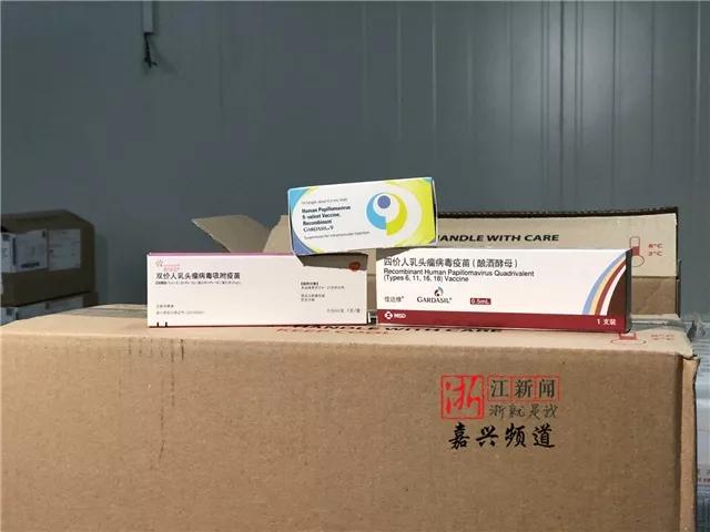 去香港打hpv9价疫苗攻略,不用预约打九价疫苗是真的吗
