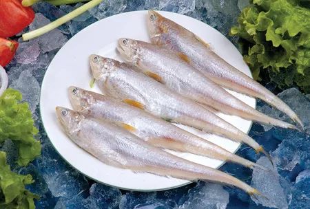 想象不到的人间美味，长江凤尾鱼，以后吃不到啦！