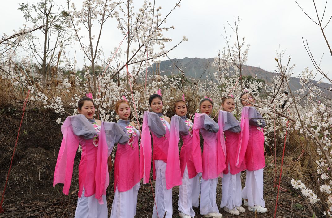 发耳镇樱桃花航拍视频出炉！敢不敢来行一场飞花令？开始！