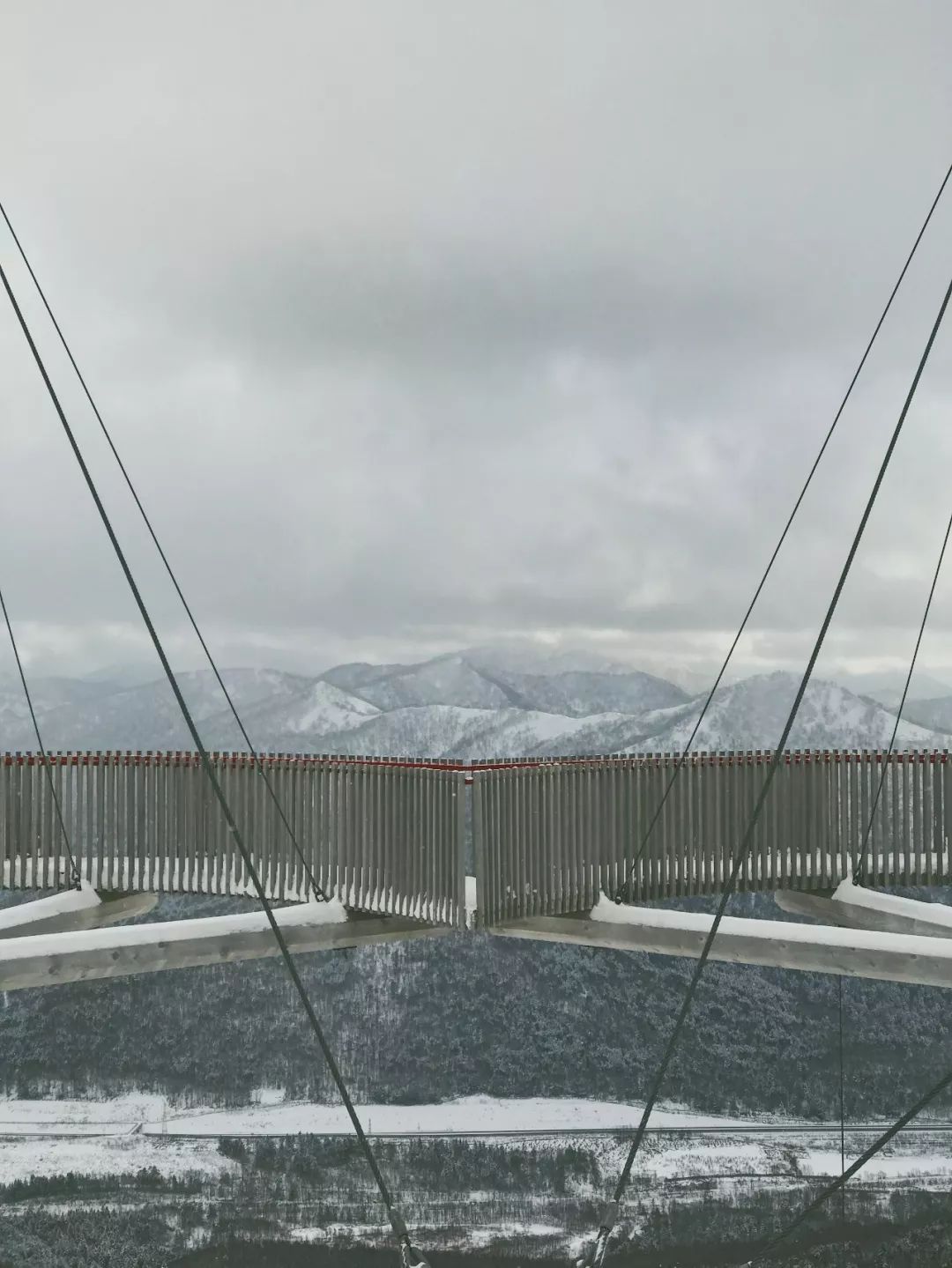 跟台湾小哥哥一起骑着雪地摩托车在北海道的雪地里野