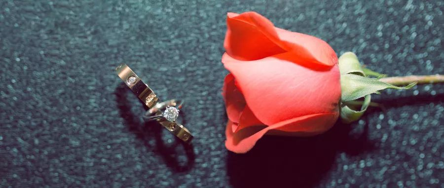 和三股东“偷偷结婚”被举报,二股东损失48亿?真相来了