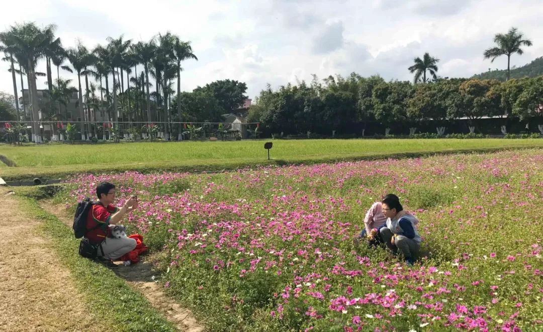 去日本从哪里出发便宜,去日本从哪里出发最便宜
