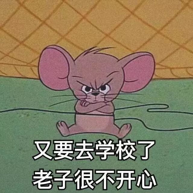 来自一个留学生的自述,来自一名职高生的自述