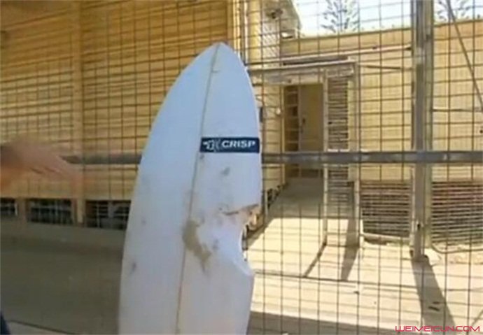 澳男子遇鲨鱼袭击,澳洲男子被鲨鱼袭击原视频