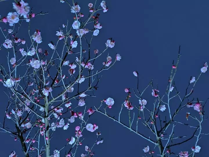 银湖吐光、群山凝素……带你去看不一样的萧山湘湖