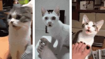 每天成交2w单!连穿7天不臭脚的袜子,世界专利金奖,连脚气都没复发了!