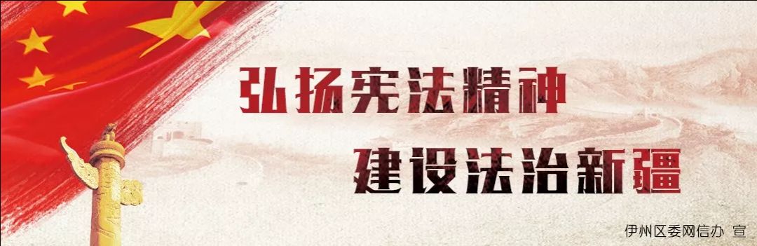 新疆酸奶测评推荐,地方特色酸奶测评