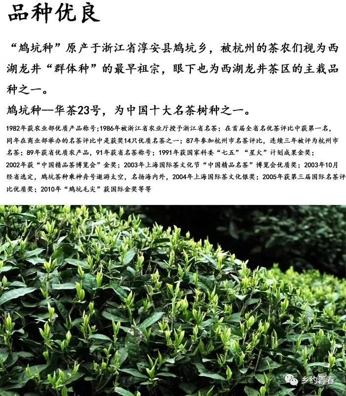 乡村振兴青年先行的实践报告,乡村振兴青年总结