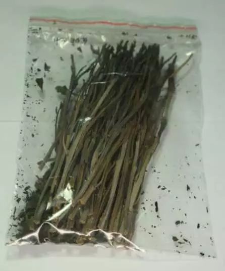 毒品危害大揭秘禁毒行动全力开展,国家禁毒局官网禁毒资料