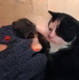 刷新一次出现一个网页,刷新一次就有新图片的网址