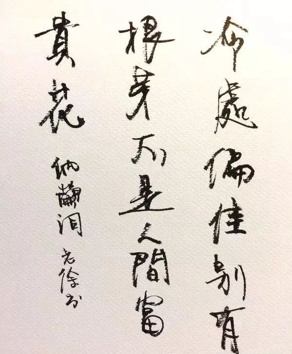 鍗庢枃鑸掍綋,鍗庢枃琛屾シ鍜屽崕鏂囪垝浣撳摢涓洿鍥介