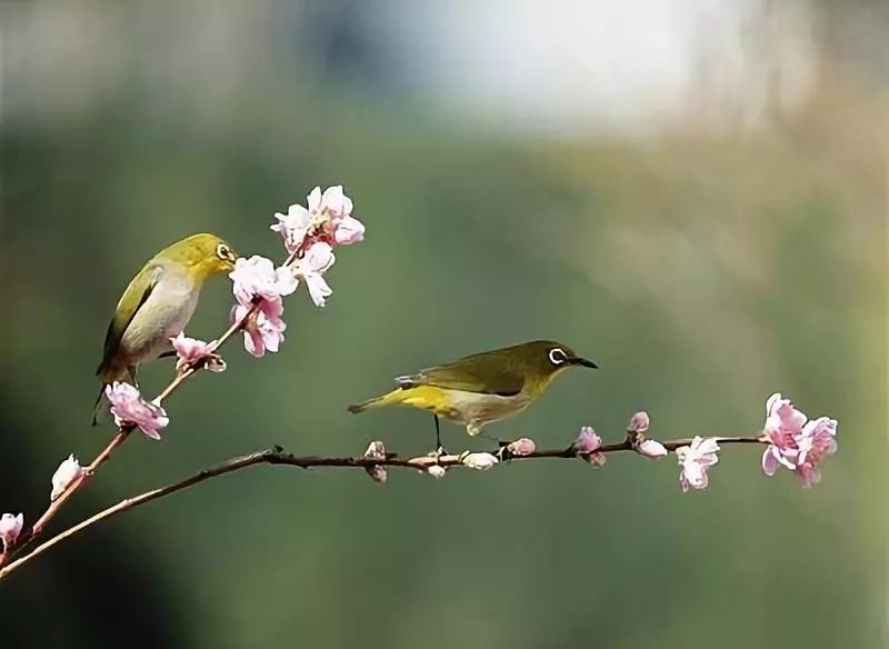 欣赏一个人始于颜值久于善良人品,美文始于颜值陷于才华忠于人品