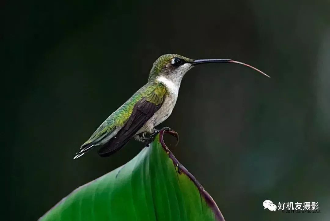「器材选择」先学会根据题材选镜头，这6种拍摄题材选这些镜头准没错！