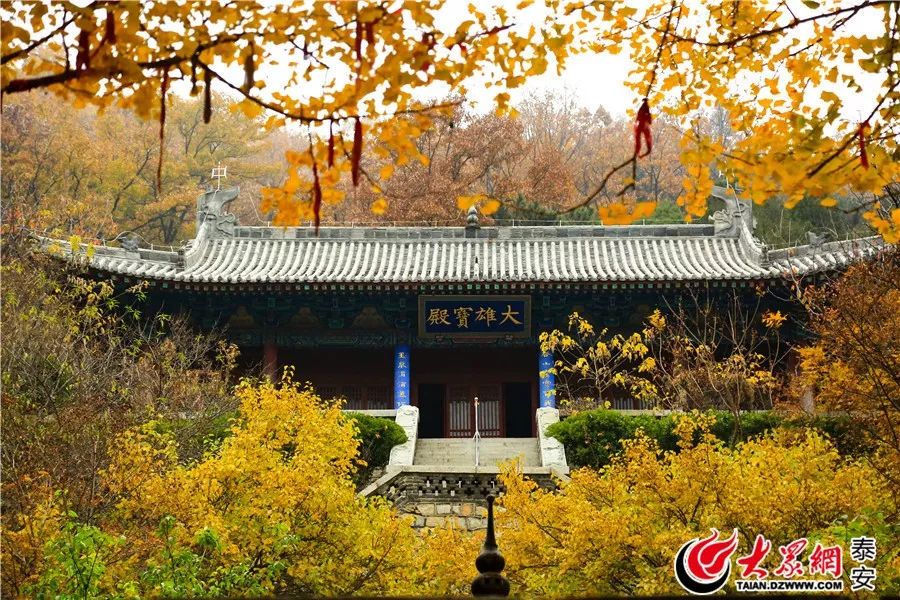 泰山山东景区门票降价,泰山景区门票优惠政策