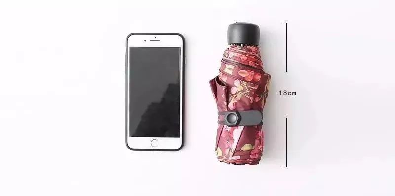 英国皇室伞,英国皇室御用伞