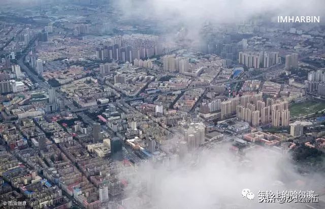 哈尔滨杨马架子前世今生,尘封的往事完整视频