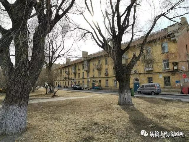 哈尔滨杨马架子前世今生,尘封的往事完整视频