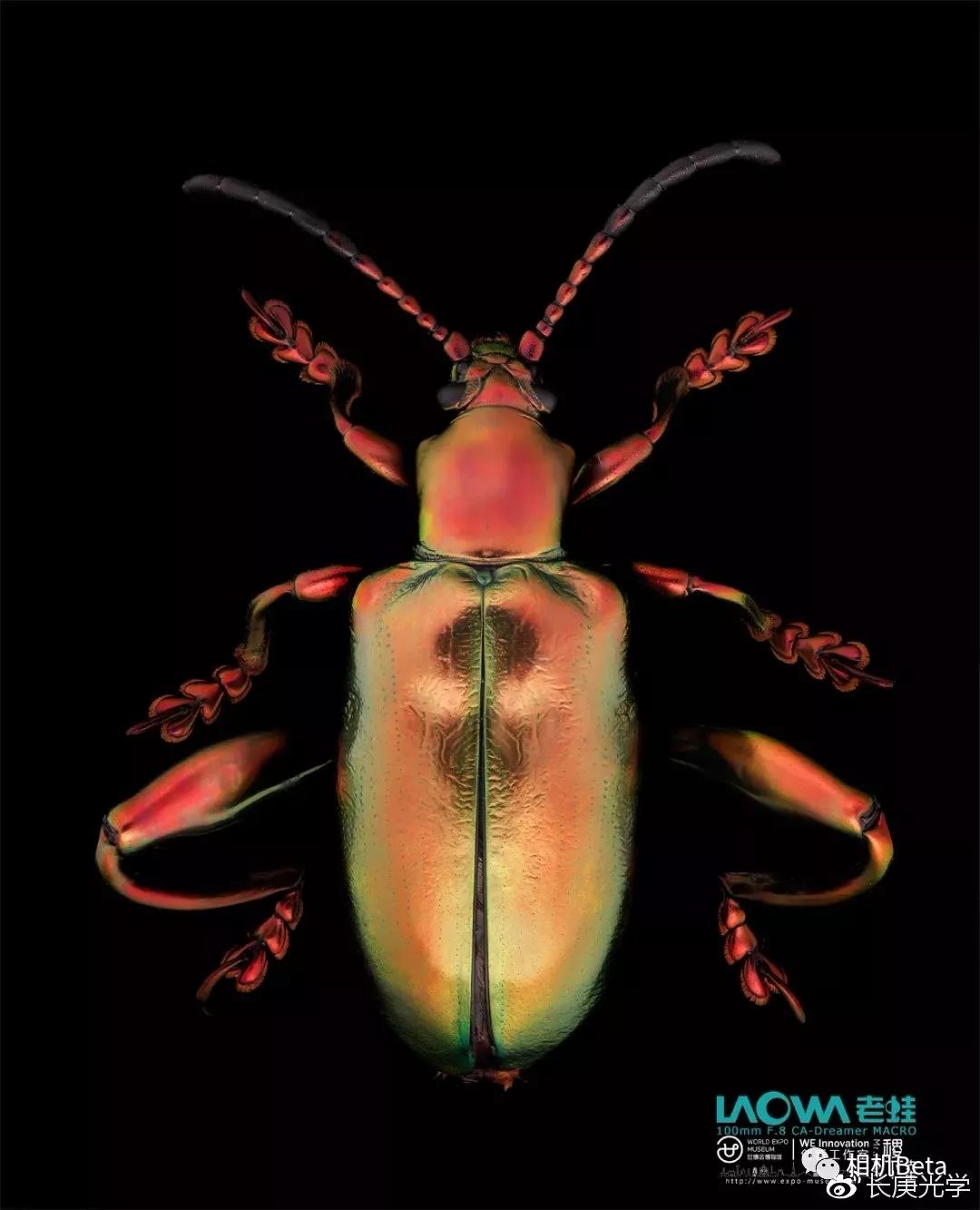 CP+2019展会看点，提前给你看