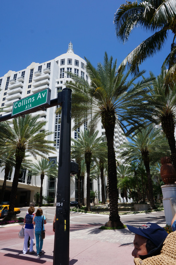 老人旅行欧洲,12位老人游上海