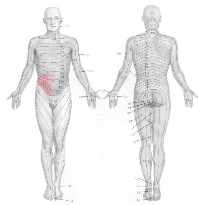 神经阻滞针打一针和打三针的区别,神经阻滞打一针多少钱
