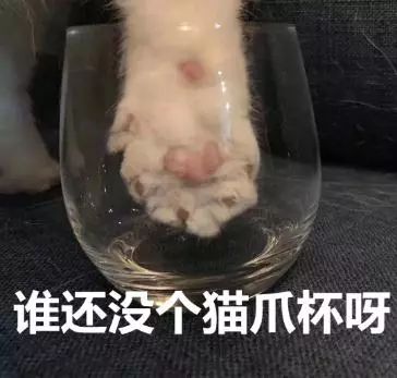 星巴克猫爪杯打架完整版,星巴克应对猫爪杯事件