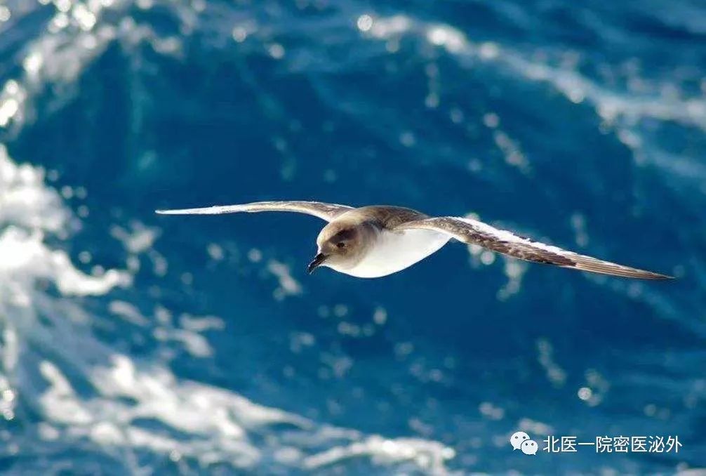 你的身价能值多少钱,你的身价是多少钱