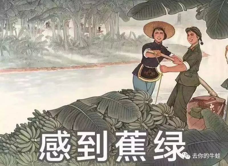 中年妇女减肥的危害,论减肥的重要性电视剧