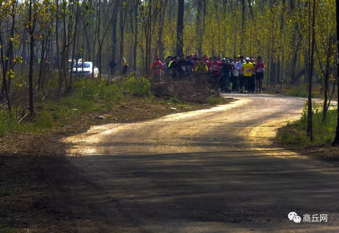 黄河故道湿地最新消息,第五届黄河故道林海湿地徒步穿越