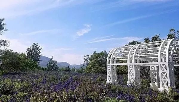 鹿泉网红打卡地免费,鹿泉太平河网红打卡圣地