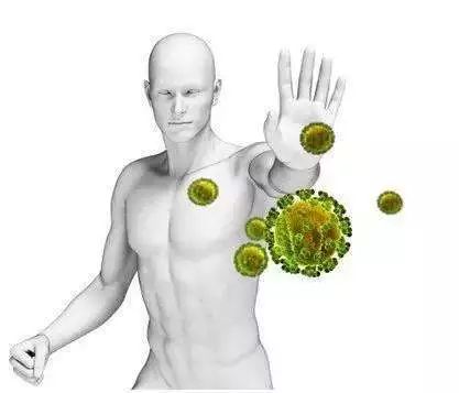 春季养肝食疗方法食谱大全,春季养肝护肝的方法和饮食