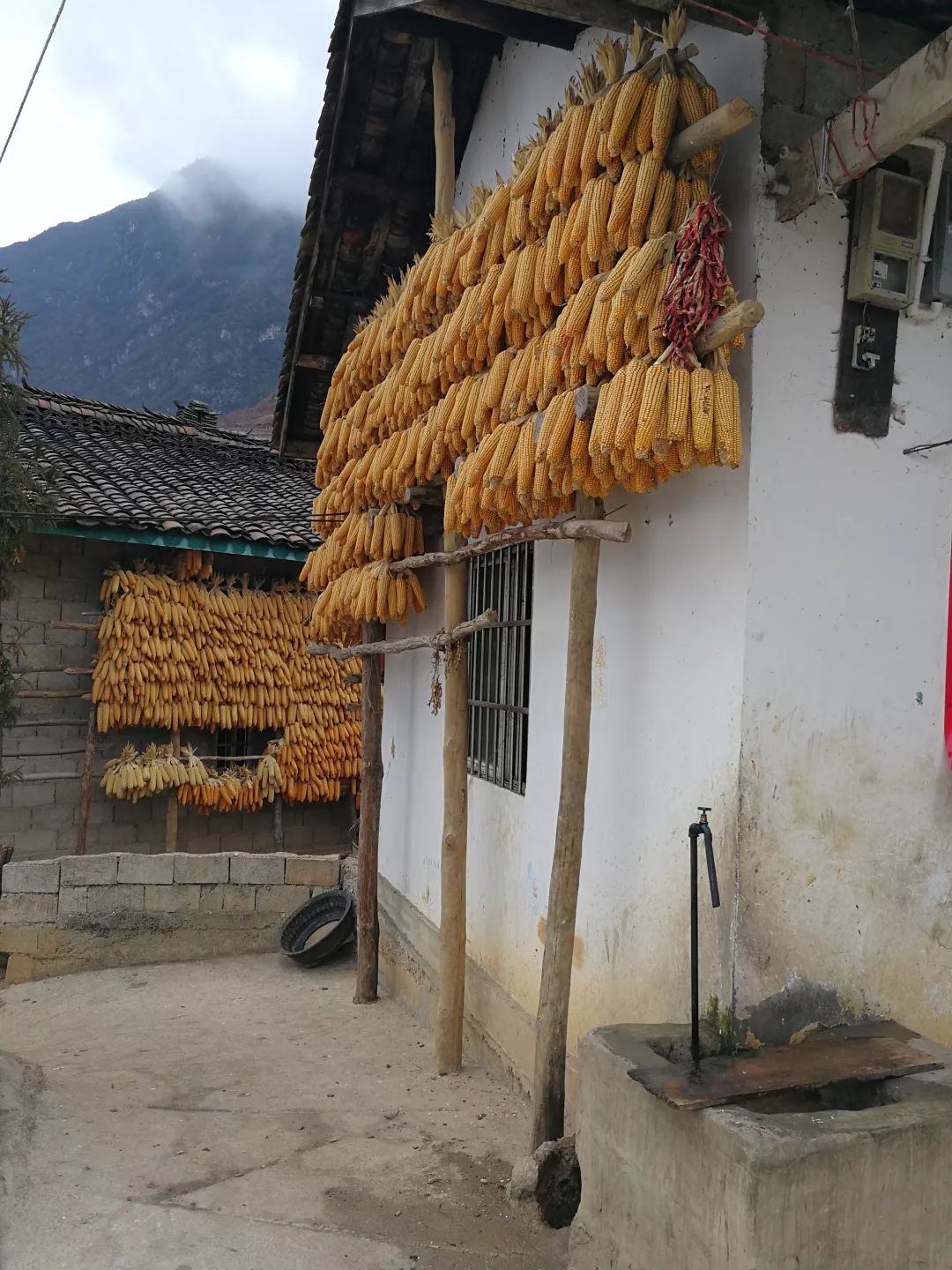 扶贫进行时——从“三大新变化”看成都病犯监狱扶贫之路