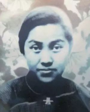 万婴之母林巧稚,万婴之母林巧稚图片