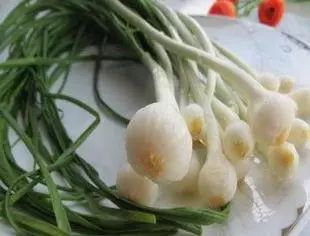 宿州野菜,挖野菜的视频火了