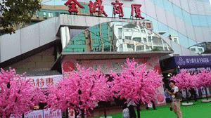 玉林很像西藏网红打卡地景区,玉林市油菜花网红景点