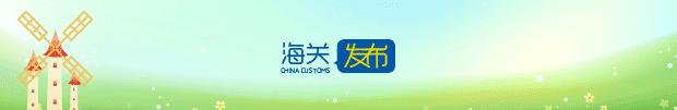 海关保护知识产权的两种模式,海关知识产权保护条例实施办法