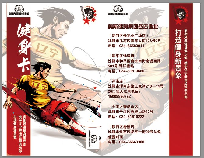 辽宁宏运足球俱乐部门票,辽宁宏运中甲球票