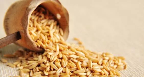 燕麦科普知识,燕麦麸皮科普视频