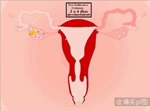 不该来姨妈但是流血了,不应该来大姨妈却流血了怎么解决