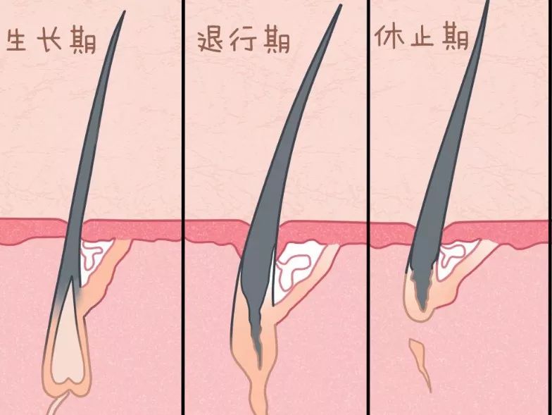 10分钟永久全身脱毛，给你一个滑溜溜的夏天