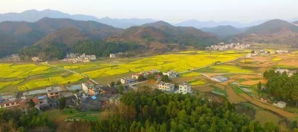 咸宁市赏花景点有哪些景区,诗意踏青春暖花开