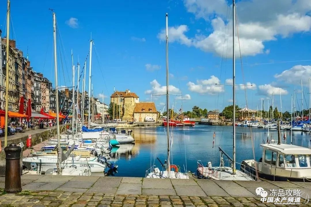 阿根廷红虾和青虾仁哪个好,阿根廷红虾有什么特别之处呢