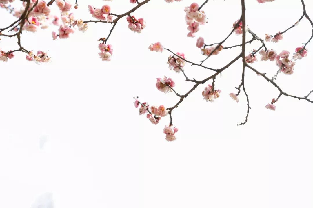 腾讯、联通、新东方都准备来华师“抢人”,本周就业讲座通知汇总,赶紧安排一下!