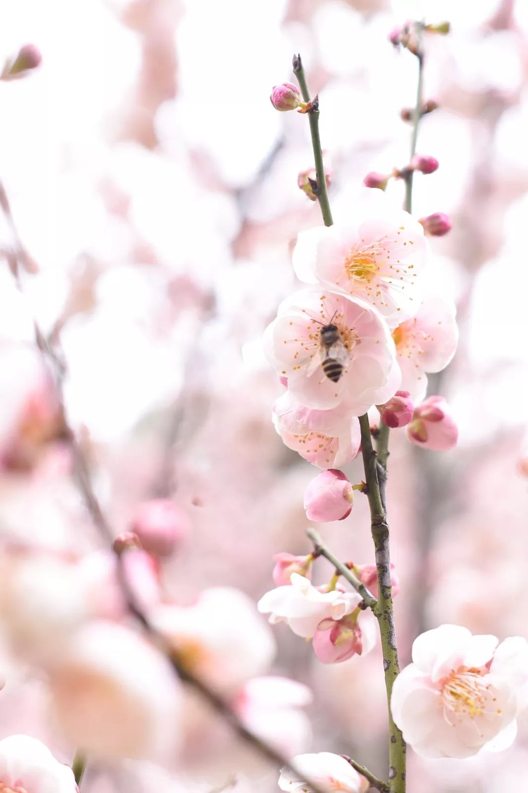 腾讯、联通、新东方都准备来华师“抢人”,本周就业讲座通知汇总,赶紧安排一下!