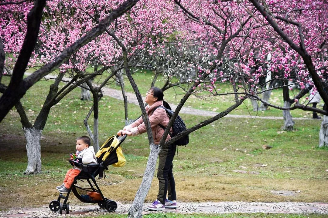 腾讯、联通、新东方都准备来华师“抢人”,本周就业讲座通知汇总,赶紧安排一下!